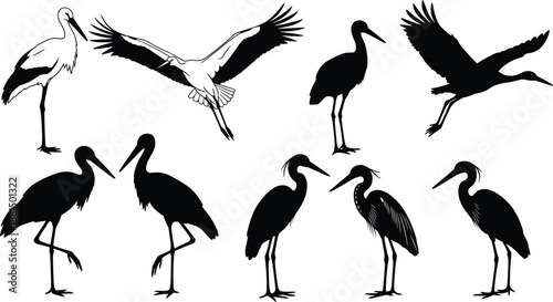 Black bird silhouettes set featuring storks and herons in standing and flying poses, elegant wildlife illustration collection isolated on white background for nature design use