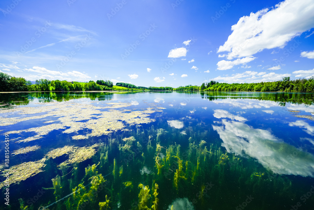 Fototapeta premium View of Lake Tinninger and the surrounding landscape. Idyllic nature at the moorland lake near Rosenheim in Bavaria. 