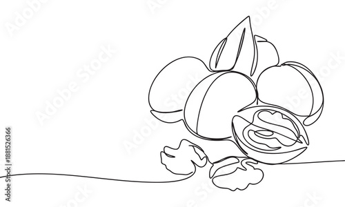 Continuous Line Drawing of Walnuts with Leaves