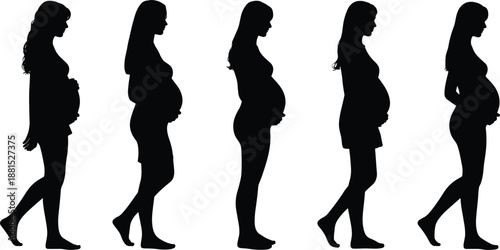 Pregnant, women, silhouettes, walking, standing, maternity, motherhood, pregnancy, female, profile, body, prenatal, healthcare, family, life, stages, concept, isolated, white, background