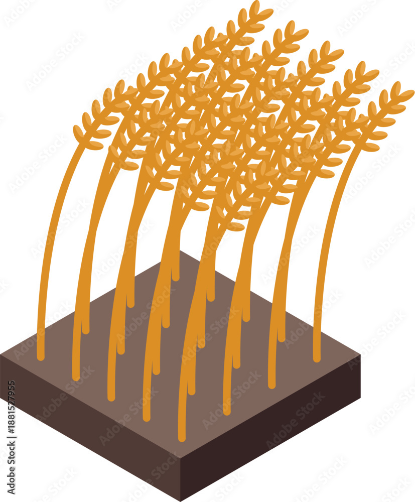 Naklejka premium Golden wheat stalks swaying gently in the field, representing growth, harvest, and agriculture, presented in an isometric projection