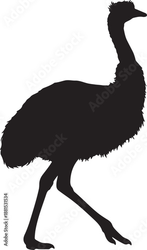 Emu in silhouette white background.