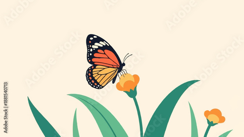 Monarch butterfly feeding on a small orange flower with green leaves