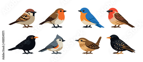 Colorful cartoon birds collection: diverse species in stylized design