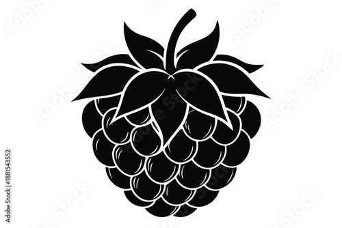 raspberry silhouette line art vector illustration