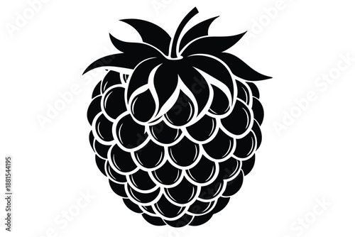 raspberry silhouette line art vector illustration
