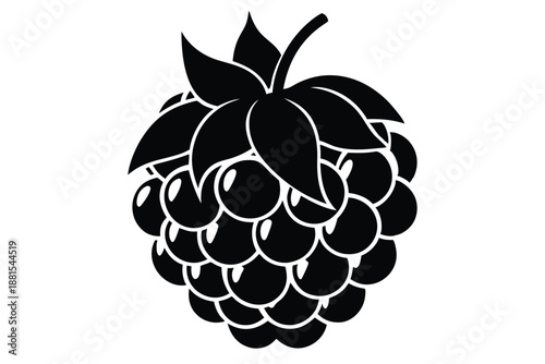 raspberry silhouette line art vector illustration