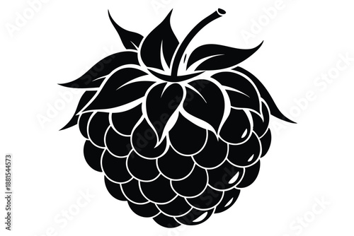 raspberry silhouette line art vector illustration