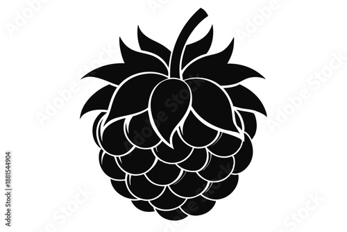 raspberry silhouette line art vector illustration