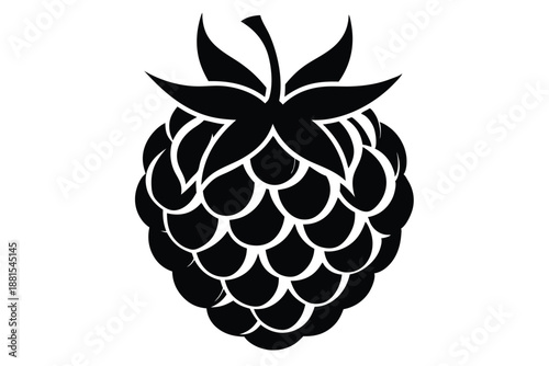 raspberry silhouette line art vector illustration