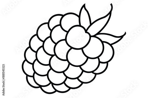 raspberry silhouette line art vector illustration