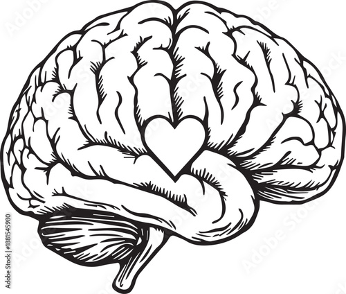 A conceptual monochrome illustration of a brain with heart represents the intersection of thought and emotion, reflecting the mind-heart connection, this artwork.