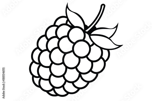 raspberry silhouette line art vector illustration