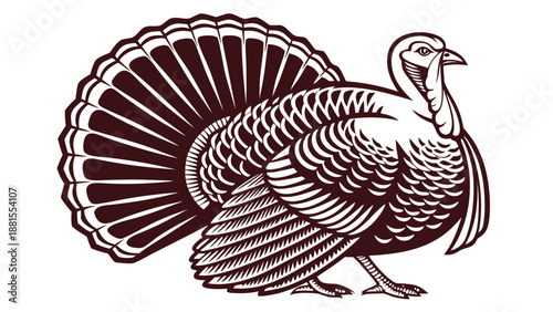 Detailed engraving of a majestic turkey displaying vibrant plumage a classic autumnal scene silhouette high quality