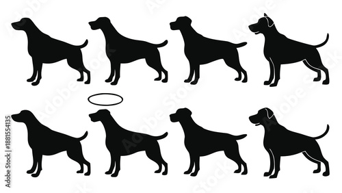 A collection of great dane dog breed illustrations in various poses showcasing a striking silhouette