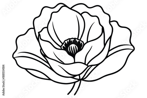 poppy silhouette line art vector illustration