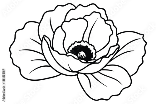 poppy silhouette line art vector illustration
