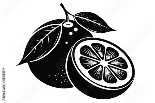 pomelo silhouette line art vector illustration