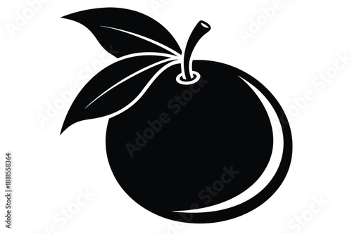 pomelo silhouette line art vector illustration