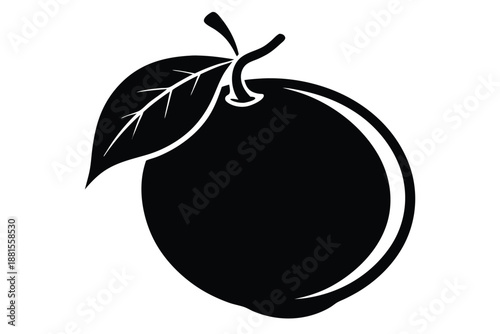 pomelo silhouette line art vector illustration