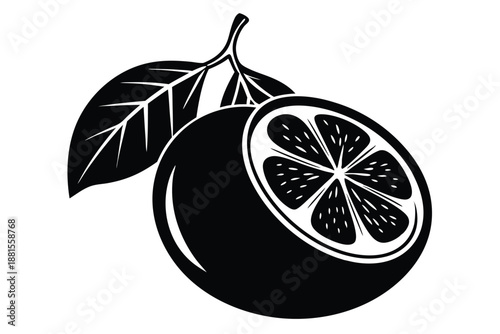 pomelo silhouette line art vector illustration