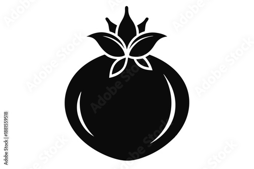 pomegranate silhouette line art vector illustration