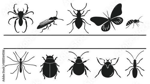 A collection of various insect and arachnid silhouettes displayed in a simple black and white illustration silhouette