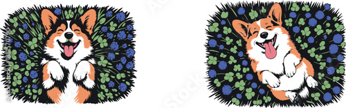 A joyful corgi dog lies on its back in green clover and blue flowers, happily smiling