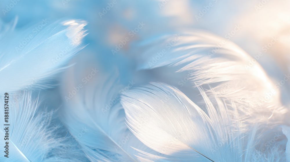 Fototapeta premium Soft white feathers spread across a light blue background during daylight