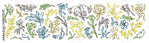 Hand-drawn flowers set. Abstract floral doodles. Crayon and chalk sketch draw...
