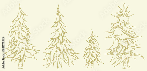 Pine trees collection in the style of engraving. Hand drawn Christmas trees. Architectural sketch, natural background. Etching drawing of fir tree. Vector set