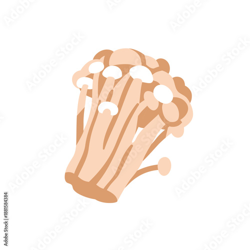 Enoki mushrooms bunch. Asian fungus in cluster, edible fungi. Vegetarian food...