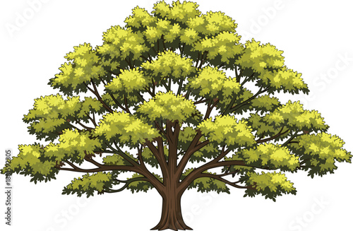 Green leafy tree illustration, detailed nature element, isolated on white background, realistic foliage, forest plant graphic for design use