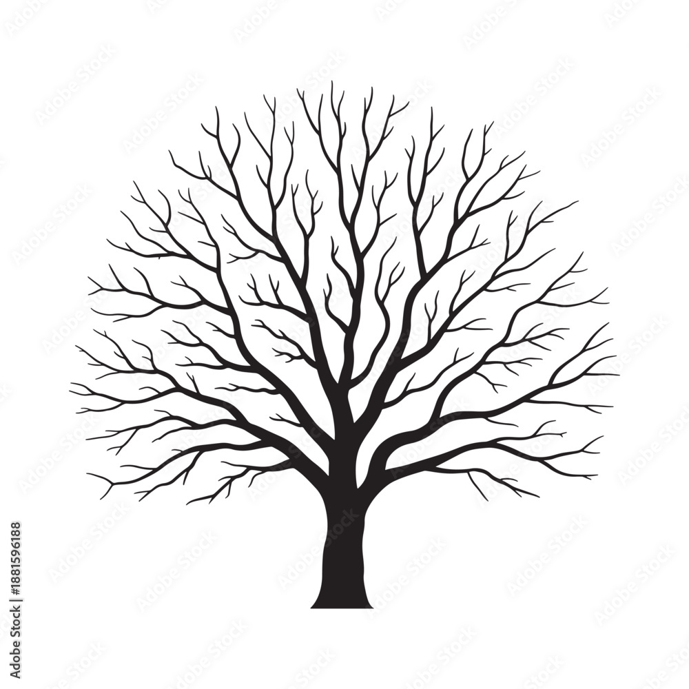 Obraz premium A stark bare tree illustration in black and white showcasing winter s form