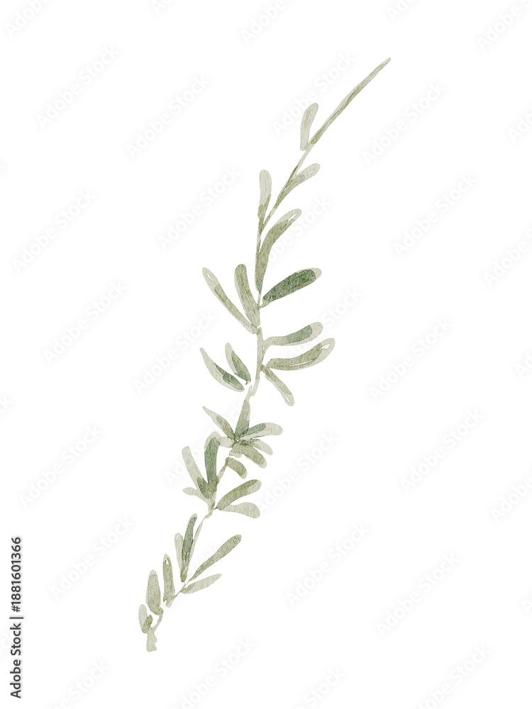 Fototapeta premium Watercolor leaves