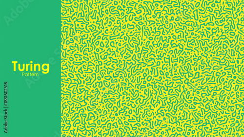 Abstract Turing pattern background. Reaction diffusion pattern. chaotic motion. Linear design. Reaction diffusion pattern. chaotic motion. Turing generative design. algorithm art.
