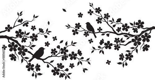 Elegant Black Silhouette of Birds on Flowering Cherry Branches