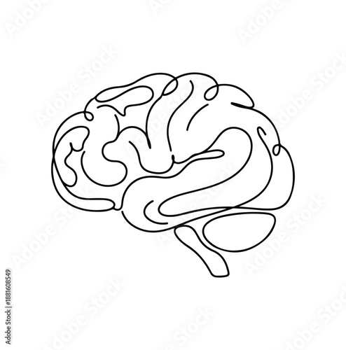 A minimalistic line art representation of a human brain, perfect for concepts related to intellect, thought, and cognition
