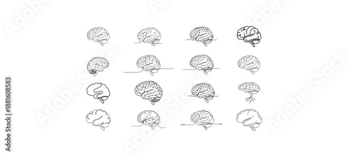 Brain illustrations for science and education, depicting the brain's complex structure and function. A series of brain images, ideal for medical or educational uses. 