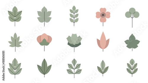 Collection of Minimalist Botanical Illustrations Depicting Various Leaf and