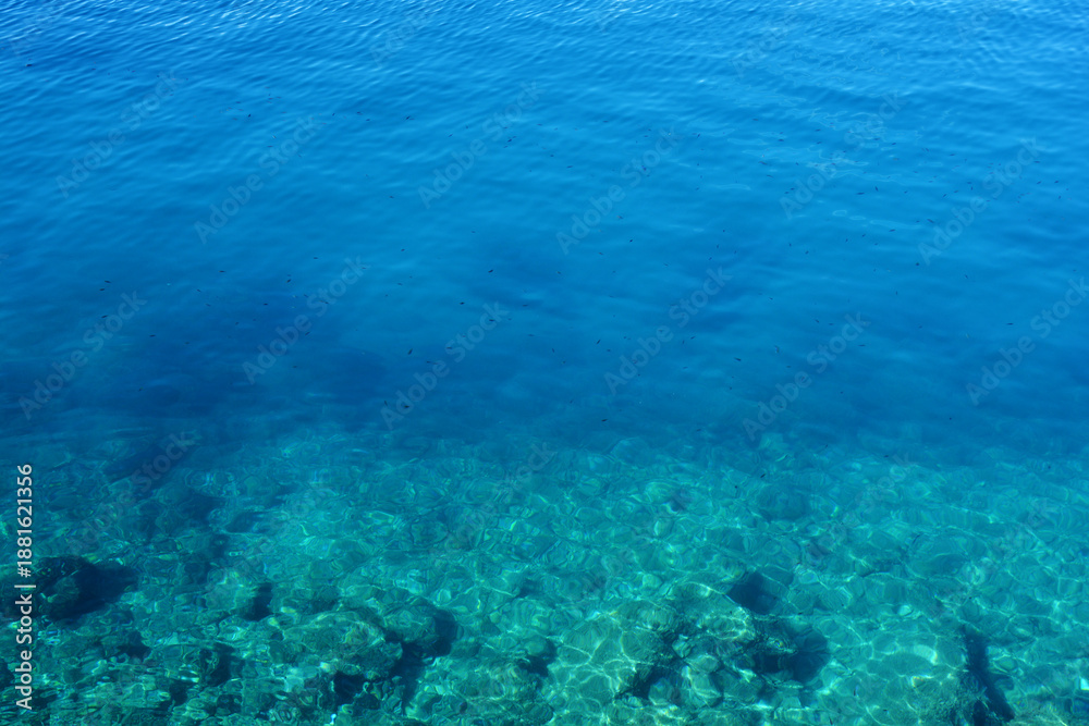 Fototapeta premium The transparent turquoise sea water reveals small black fish swimming over the rocky bottom under the bright summer sun.