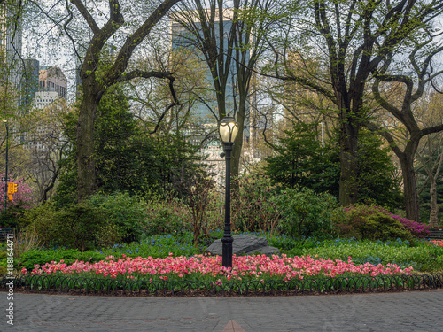 Central Park the Mall, early spring