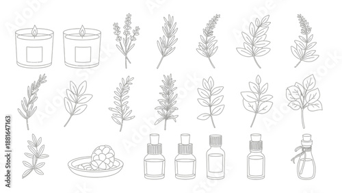 This image shows a refined line-art collection of botanical leaves and plant elements. It represents nature, organic design, and natural aesthetics, making it suitable for eco branding, packaging, tex