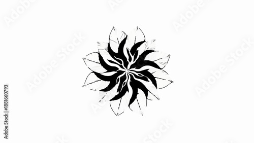 Abstract black and white floral design with intricate patterns and symmetry