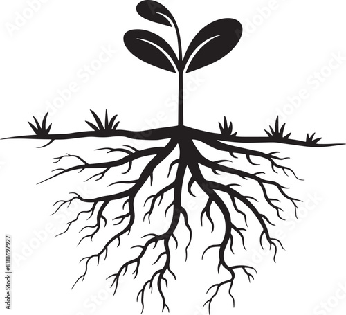 Black silhouette of a young plant with visible roots and grass blades against a white background