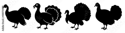 Silhouette of turkeys in various poses on white background, elegant and simple