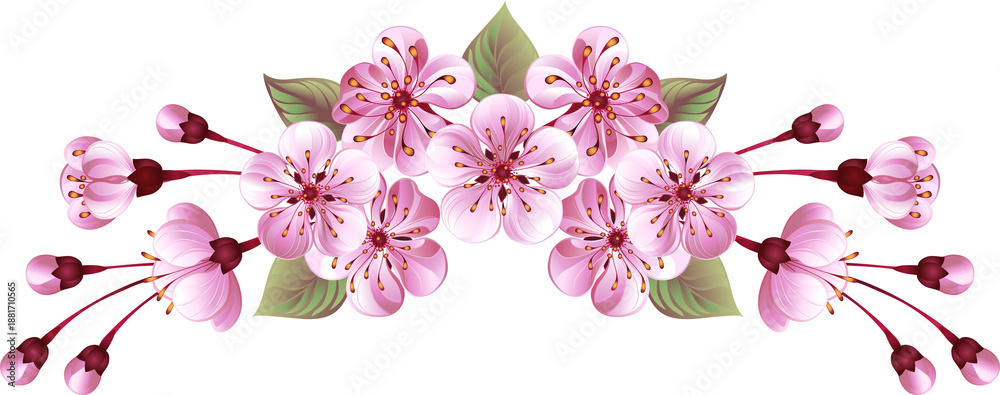 Fototapeta premium Header frame of pink sakura