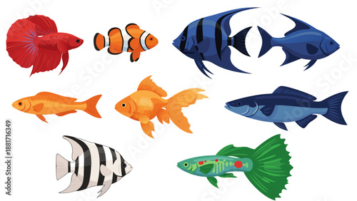 A vibrant vector illustration showcasing a diverse collection of colorful aquarium fish on a white background