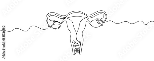 One continuous line of the female uterus and ovaries. Minimalist line art drawing of the female reproductive system. Anatomical illustration of pelvic organs in one line art style with a black editabl