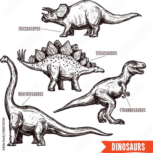 Gigantic prehistoric Tyrannosaurus rex dinosaur vector illustration of an extinct Jurassic creature isolated on a white background as a big cartoon 3d reptile beast